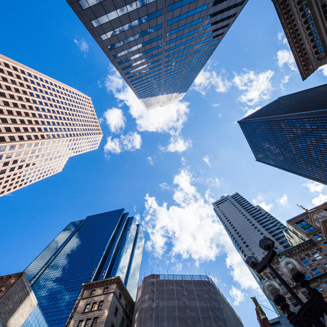 Chicago Skyscrapers